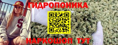 винт Балашиха