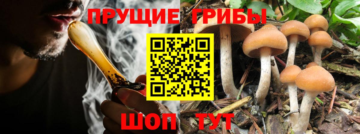 Галлюциногенные грибы прущие грибы Егорьевск
